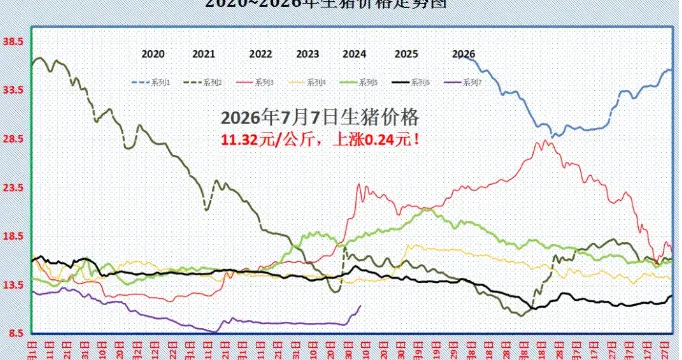 破6是虚火还是拐点？广东12.62元 福建走平，这波涨势还能撑多久？