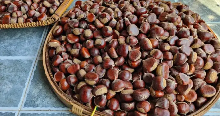 宝子们别误导！孩子吃板栗没‘绝对不能搭’，找对吃法养胃又补脾