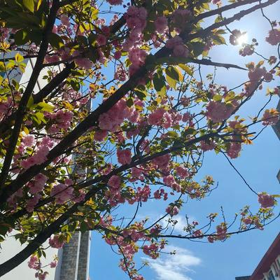 美眉爱车：没有预告 没有理由 只是某一个