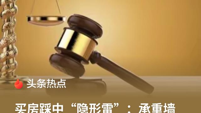 木头人：上海，女子花200多万买了一套房