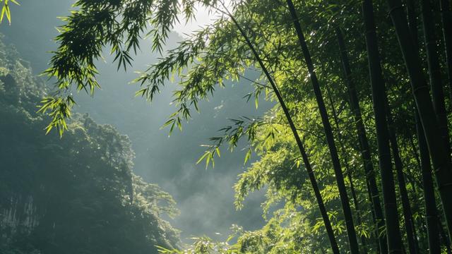 时光旅人：林间风轻，山色渐深。   今日