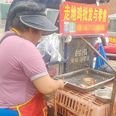 时来运转：四月十二号星期天休息的时候，在