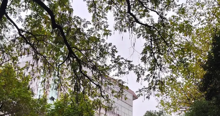 农商行的冰火两重天：基层累成狗，机关闲似仙