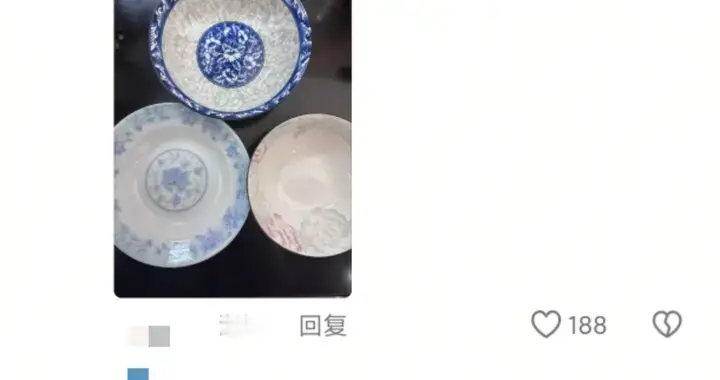 浙江家长的餐具审美有多统一？网友：你怎么把我家的碗拿来了？
