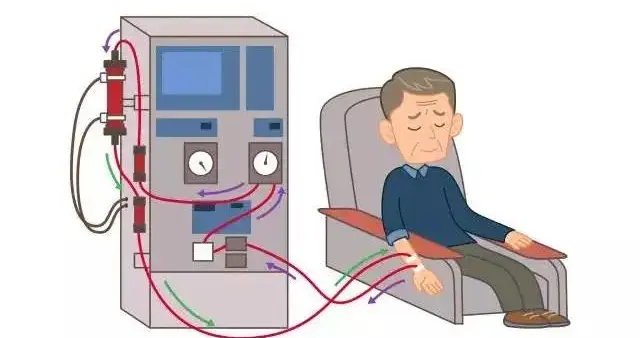 一周只透析2次够吗？重磅研究告诉你答案！