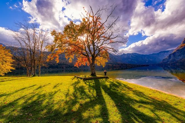 交易随谈记之学交易