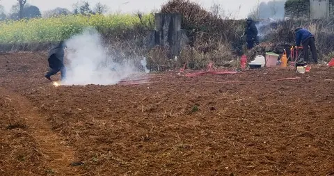 清明节不放假，请人代替自己祭扫祖坟行吗？