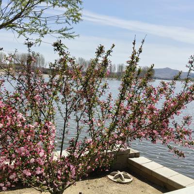 想去看最美的风景wsg：辣手摧花的那帮人