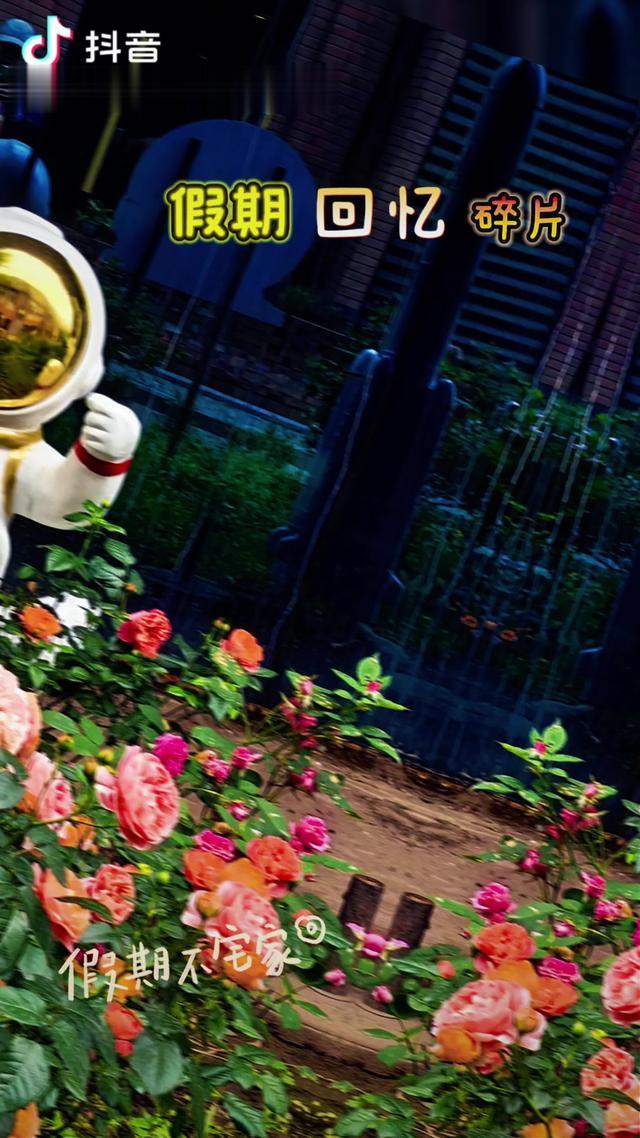 现代诗（原创）：《欢快的伐木歌》