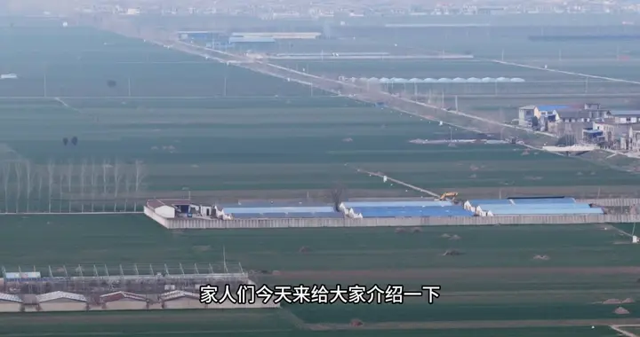 航拍河南周口商水县麦田一座座坟包突然理解了前几年周口平...