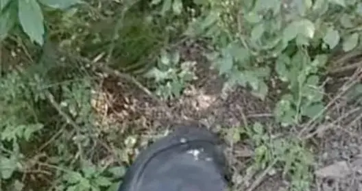 停止猜忌！失联女生最后轨迹，清清楚楚告诉所有人 三个反常透无奈