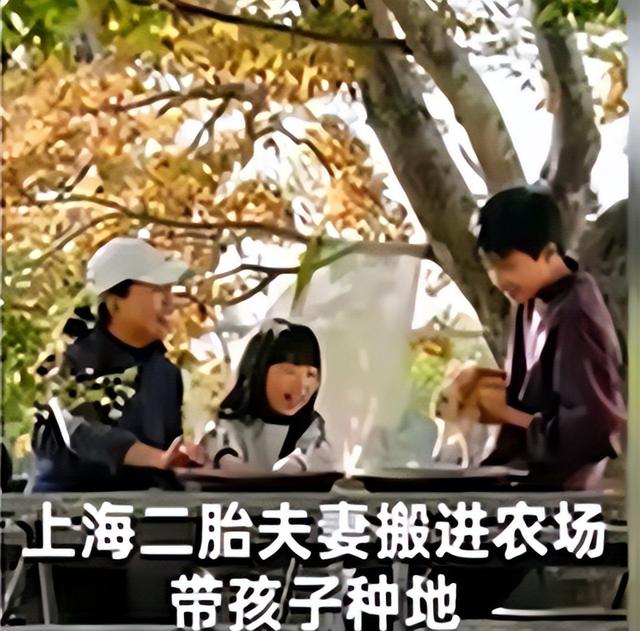 假农民上海教孩子种地，有人好羡慕，网友：真当农民不累哭算我输