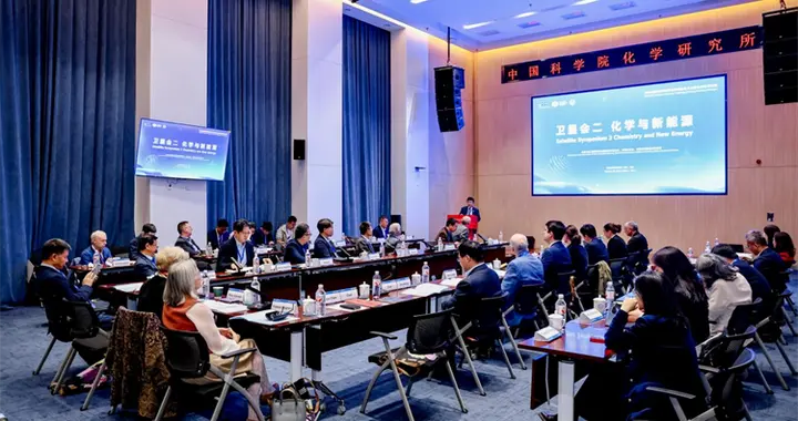 2026国际科学理事会北京科学对话“化学与新能源”卫星会举行