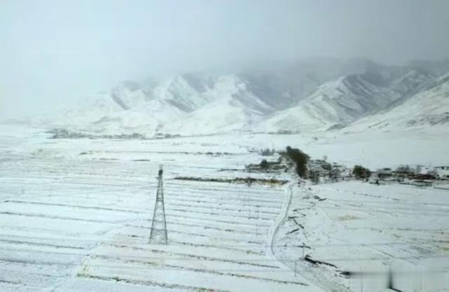 陈卫东：《乌鞘岭听雪》