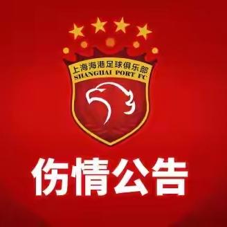 球场最前沿：海港发布伤情公告，外援加布里