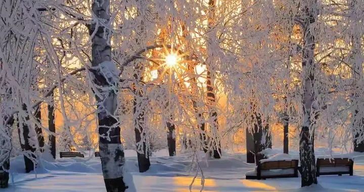 散文‖寒冬凝成诗