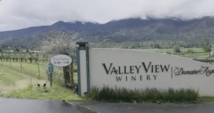 姐姐提1200万诉讼，俄勒冈律师竟用AI编造案例，被罚巨款还丢了官司