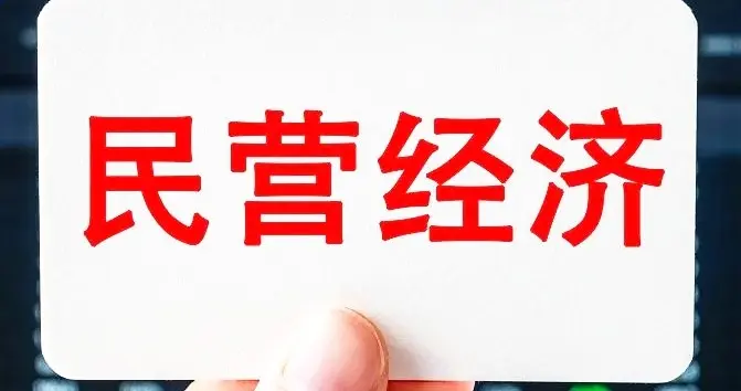 民营经济10大省份：江苏、广东、浙江、山东、福建、湖北前六名