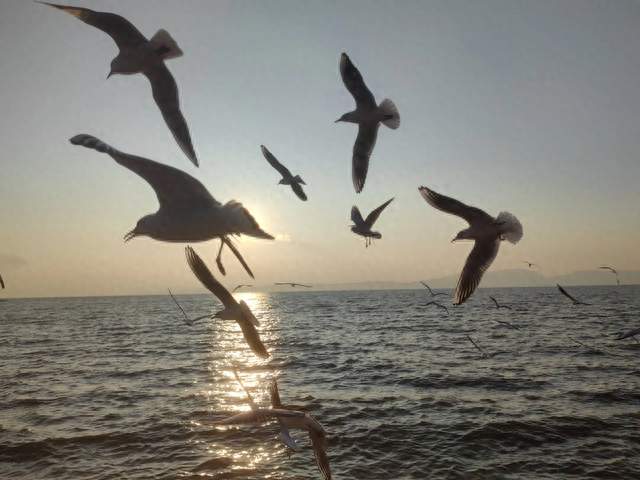 9.24行情的战略意义