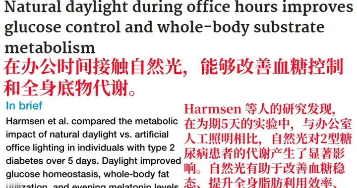 多接触阳光，对肾友还有这3种好处！隔着窗户的自然光也有用