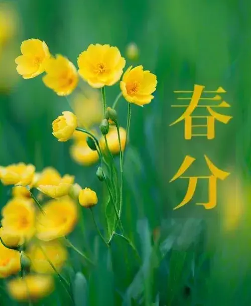 平衡点上的春天——春分