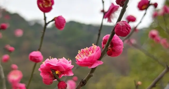 活着不只为衣食无忧，要去试遍没试过的人生