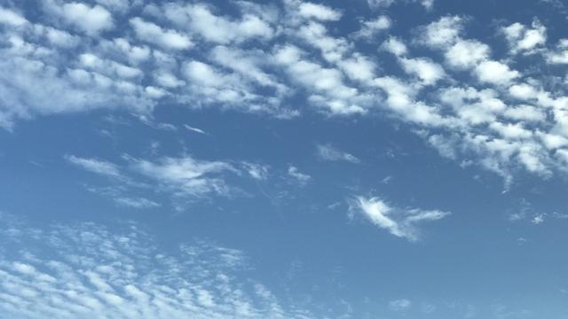 庭院飞雪：:春风春雨春争艳，诚邀对