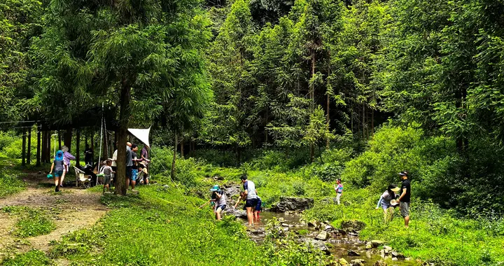 叙永谢家坳溪谷游玩全攻略：野生景区的正确打开方式