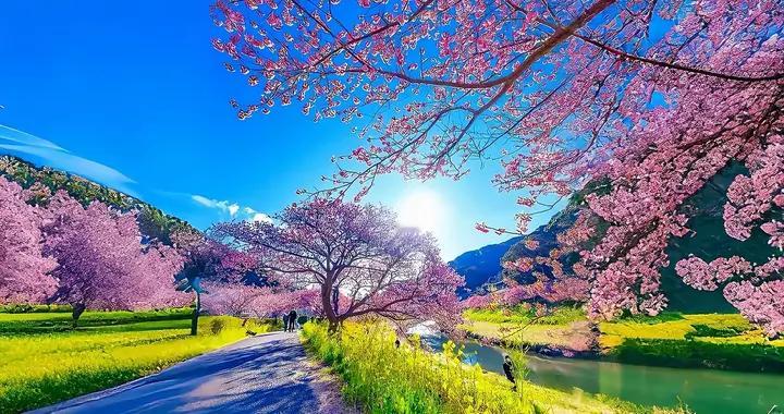 保护眼睛刻不容缓，高清护眼壁纸千万别错过！