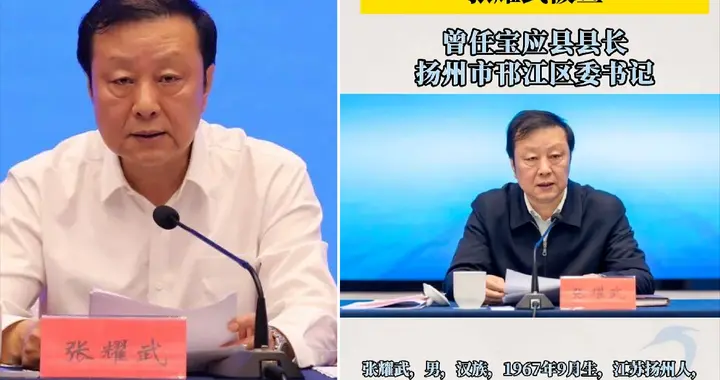 副厅张耀武被查！县长、书记、政法委，3个“监管黑洞”浮出水面