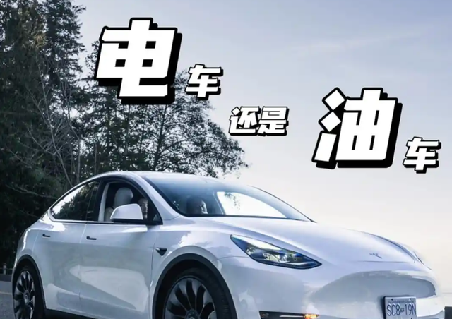 小米之后，理想纯电正式入场！2025抄底电车成主流，油车跌落神坛