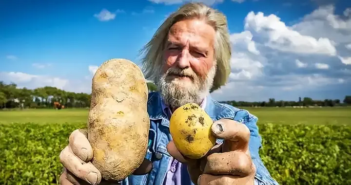 欧洲网友懵了！为什么中国人能实现蔬菜自由？他们是怎么做到的？