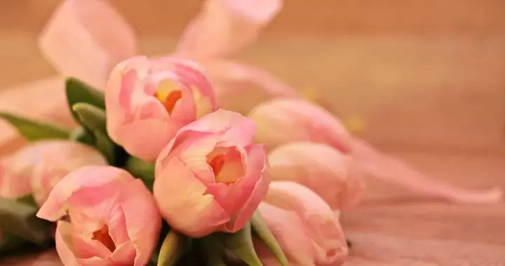 中年女人，认定一个男人的3种表现，很好判断