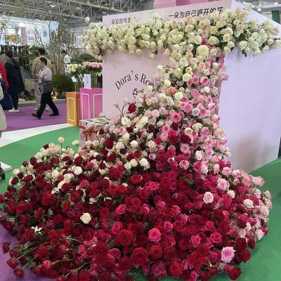 想从你的心中下班：天啊！太好逛了太美了。