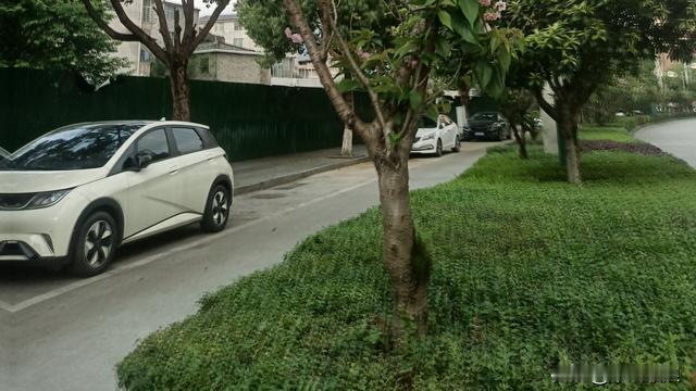 乖风破浪：今天和几个朋友闲聊到公园逛，到