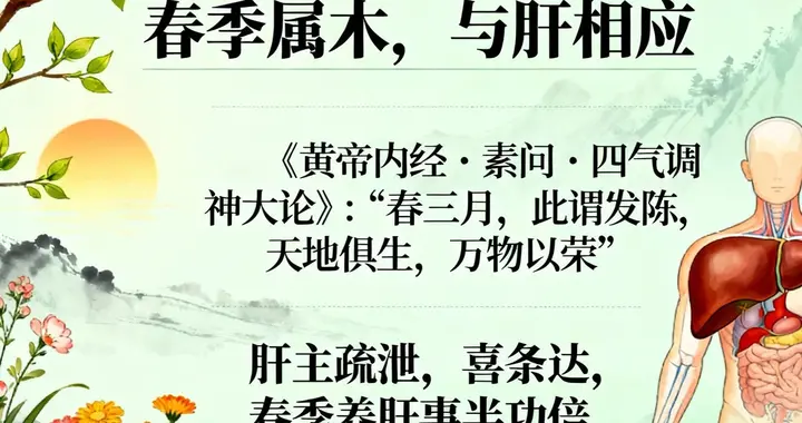 春季养肝好时节：顺应天时，调养肝脏以护全身**