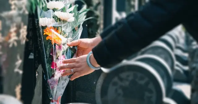 清明怀先烈，吾辈当自强