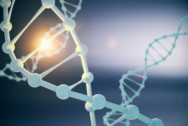 我们从哪里来？基因科学已经为我们揭秘了人类起源背后的真相