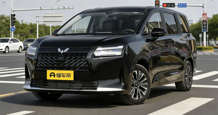 上市12天交付破万！燃油/插混/纯电任选  10万级家用MPV的实诚选择
