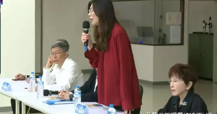 7800亿军购案尘埃落定，郑丽文CNN专访：“两脚论”升“三脚论”