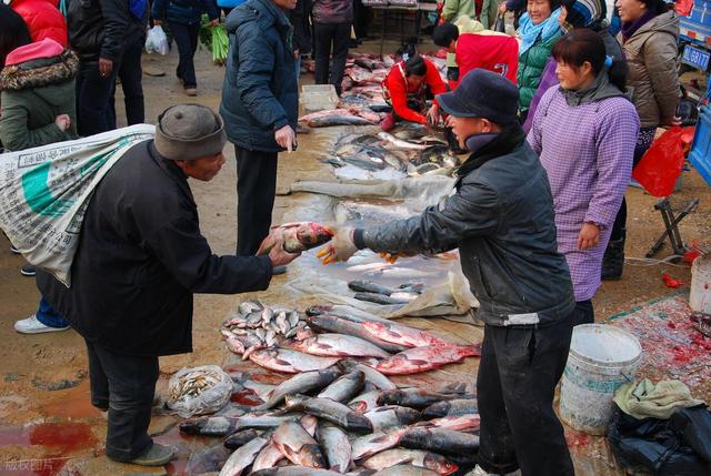 买鱼时，为什么鱼贩子经常用黑色塑料袋？原来有“猫腻”，快看看