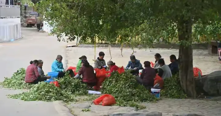 农民养老金冲1000元！五年三步走，这波民生福利巴适得板