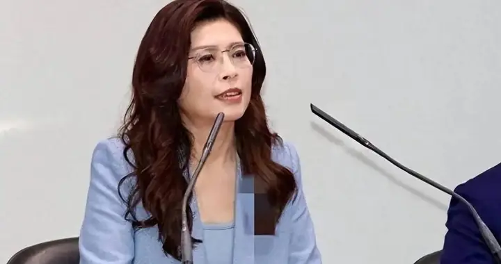 郑丽文出手了，二十万大军压境，赖清德慌了，国民党誓要夺回版图