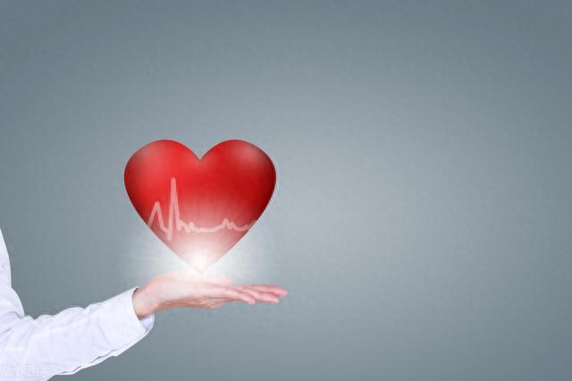 揭秘心脏的奥秘，健康生命的重要角色！守护生命的泵血之源