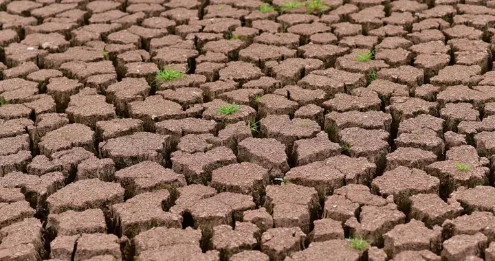 土壤板结科学改良技术：从成因到实践方案