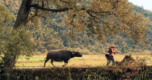 老话说“十月怕初五”，明日十月初五，究竟怕什么？早了解