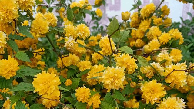 优美漂流瓶阳阳：我