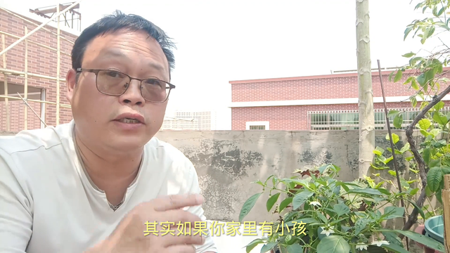 家里有小孩，一定要养一些！补钙比牛奶好