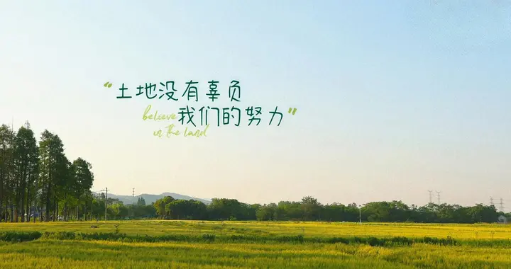 心简单了，日子就暖了，幸福从来都在烟火细碎里