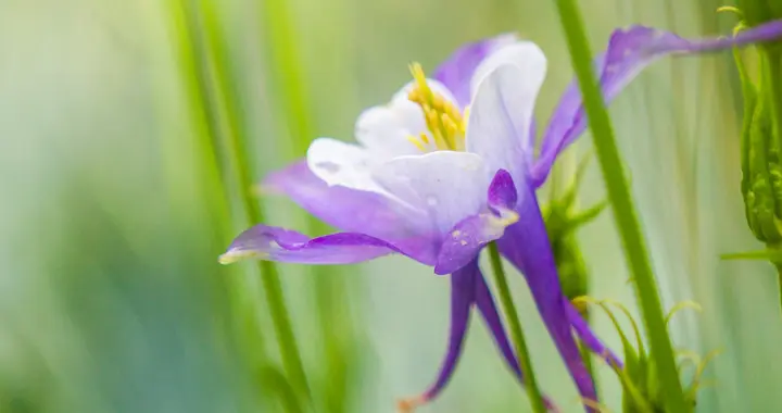 诗词知识10问10答，全是真知灼见，读后豁然开朗